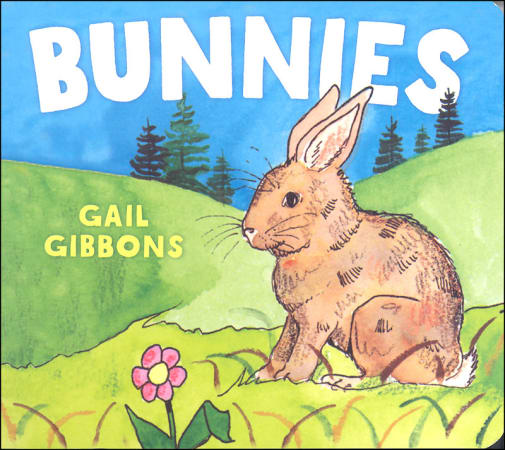 Bunnies Board Book