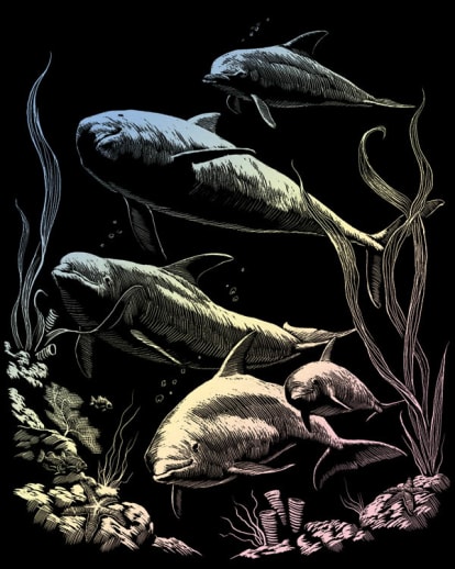 Engraving Art: Dolphin Pod