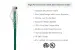 Cat6 Slim Ethernet Patch Cable, Snagless, 0.5 ft, Green