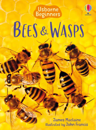 Bees and Wasps (Usborne Beginners)