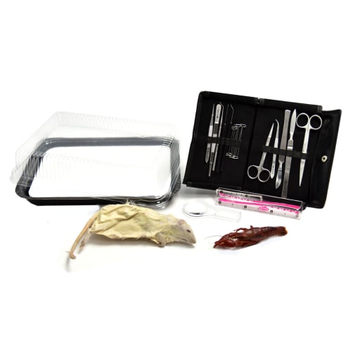 BJU Dissecting Lab with Specimens (4th Edition)