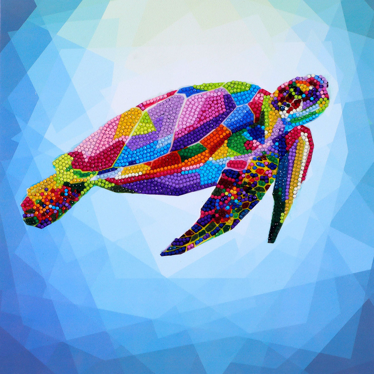★Original ART ‘Turtle’ cpnwbdowutg5zahjejwo.jpg
