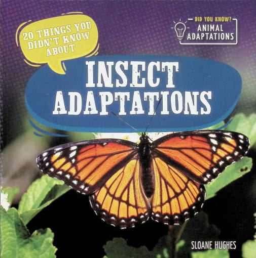 Insect Adaptations (20 Things You Didn't Know About)