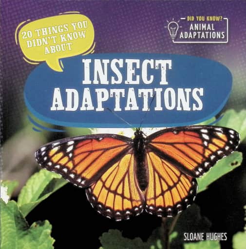 Insect Adaptations (20 Things You Didn't Know About)