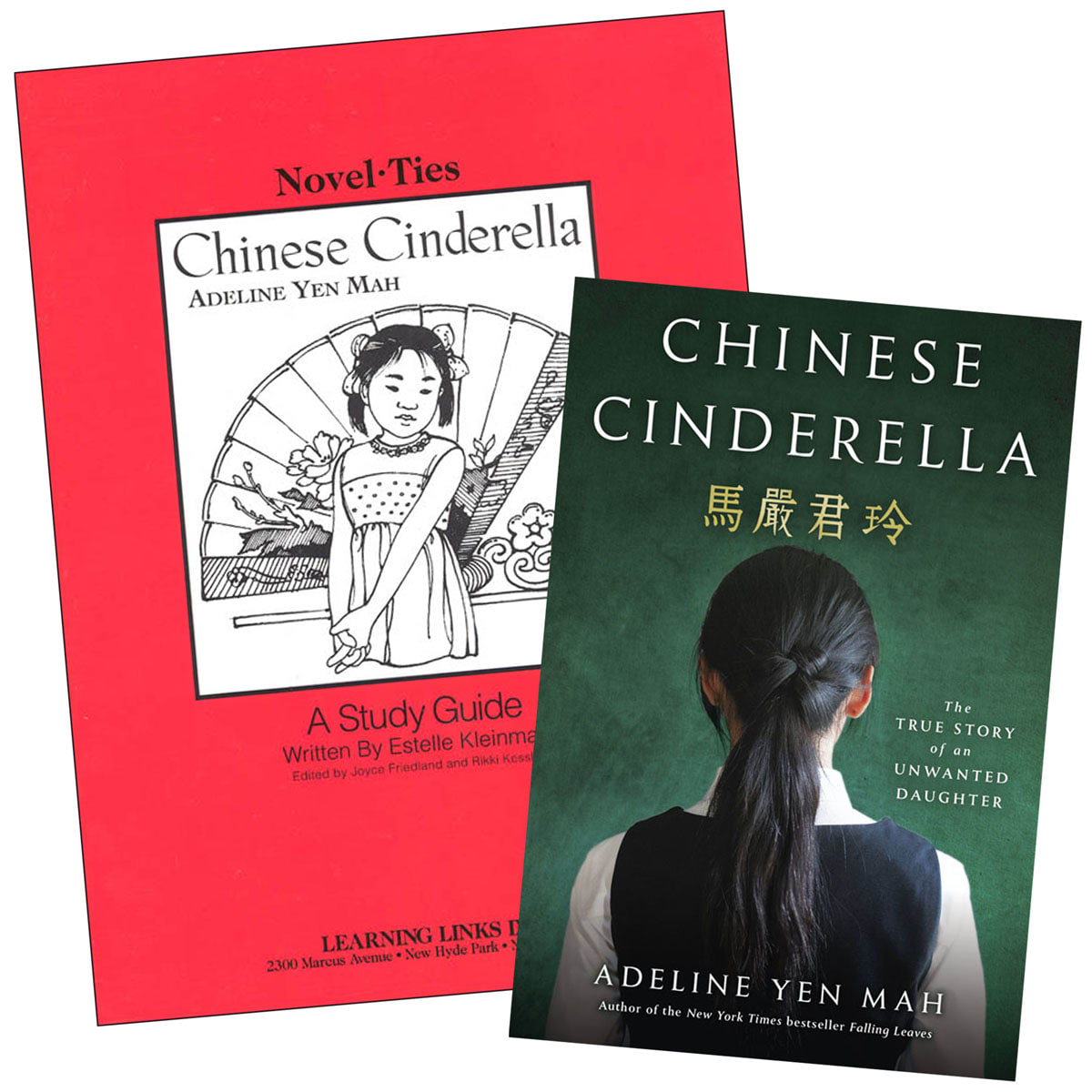 Chinese Cinderella Novel-Ties Study Guide & Book Set