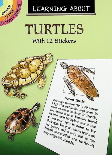 Learning About Turtles