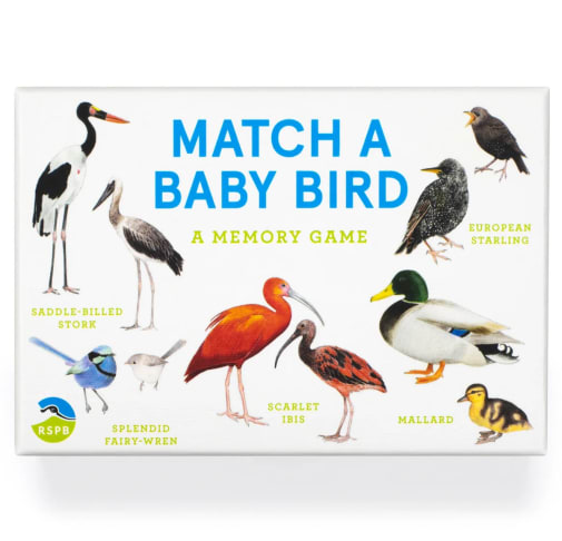 Match a Baby Bird Memory Game