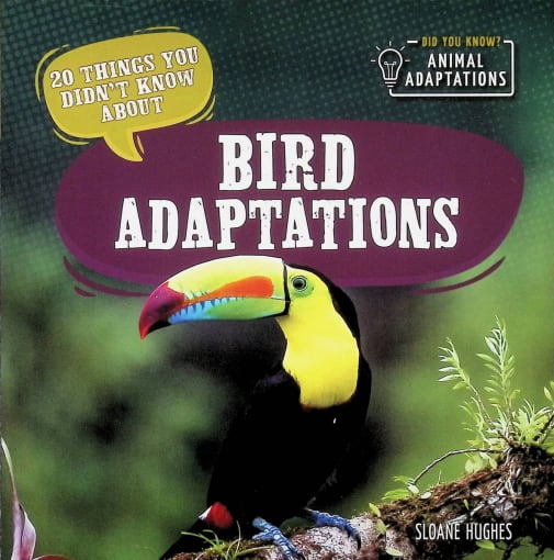 Bird Adaptations (20 Things You Didn't Know About)
