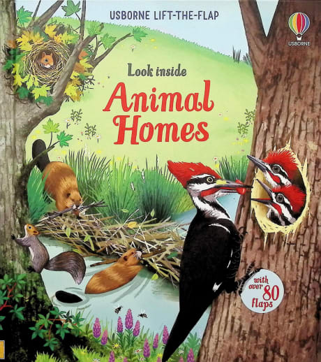 Look Inside Animal Homes (Usborne)
