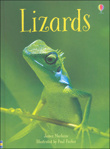 Lizards (Usborne Beginners)