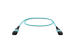 MPO Cable, 12-Strand, OM4, LSZH, UPC, Type B, Female Key Up to Female Key Up, Aqua, 5 Meters