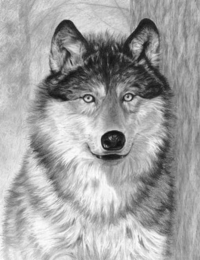 Sketching Made Easy - Alpha