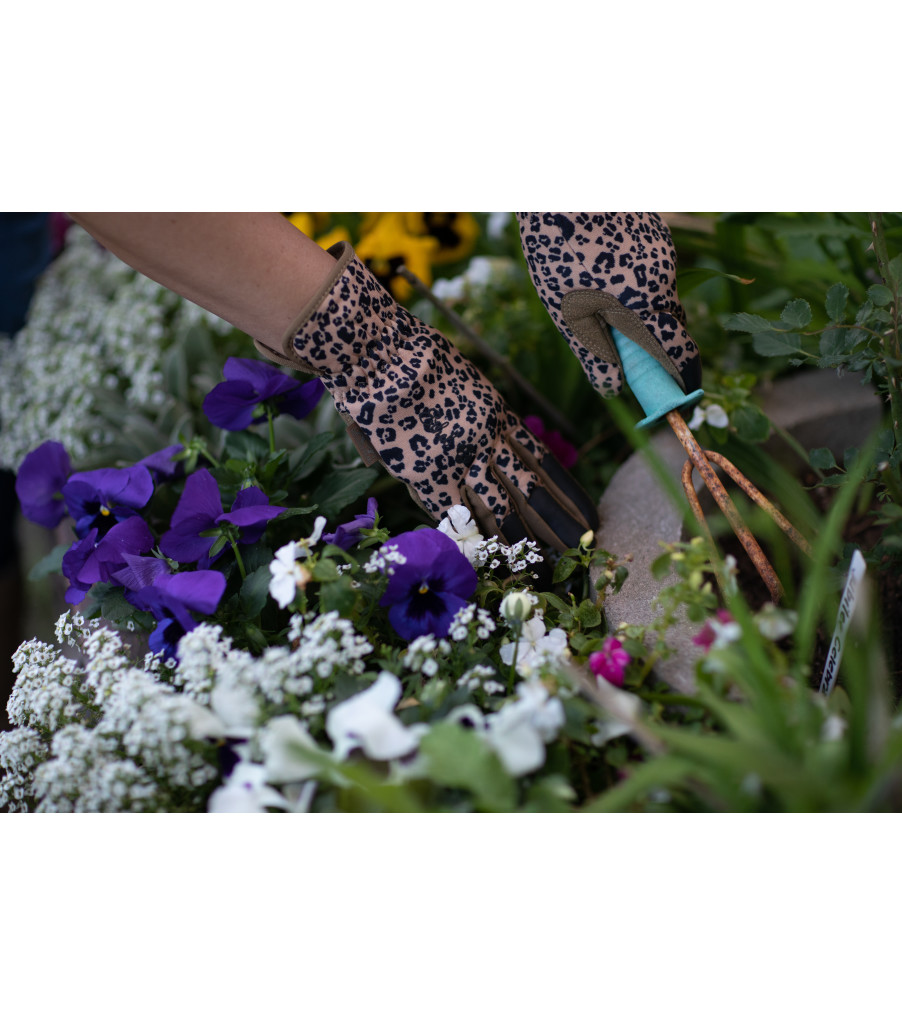 Ethel® Garden Leopard, Tan, large image number 5