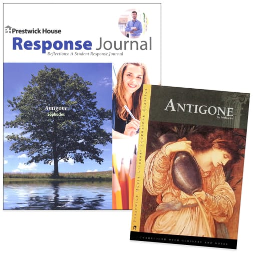 Antigone Reflections Package