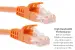 Cat6 Ethernet Patch Cable, Snagless, UTP, 1 ft, Orange