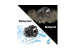 Cat6 RJ45 Shielded Industrial Panelmount Bulkhead Coupler with Dust Cap, Weatherproof, Black