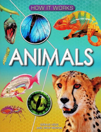 How it Works: Animals