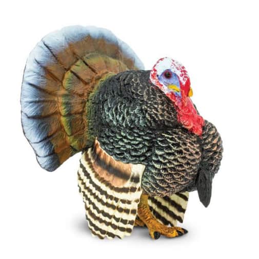 Safari Turkey (Farm Collection)