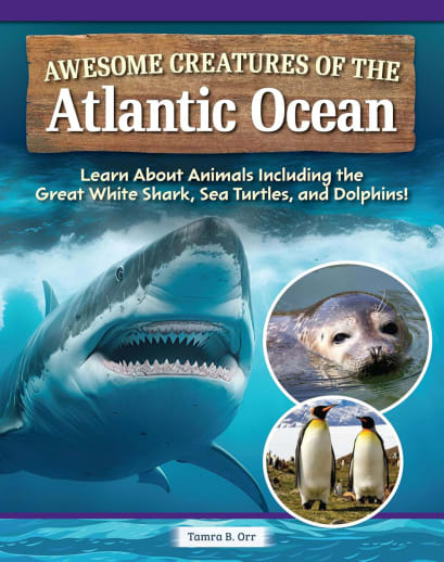 Awesome Creatures of the Atlantic Ocean