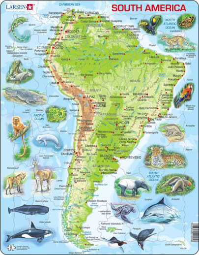 South America Map Puzzle (65 pieces)