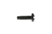 Rack Screws, 10-32 Thread, Phillips Head (Qty 50)
