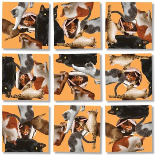 Cats Scramble Squares