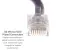 Cat6 Ethernet Patch Cable, Non-Booted, UTP, 7 ft, Purple