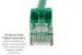 Cat6 Ethernet Patch Cable, Snagless, UTP, 2 ft, Green