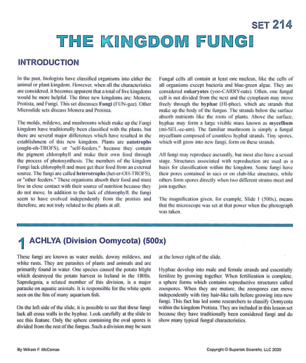 Kingdom Fungi Microslide Lesson Set