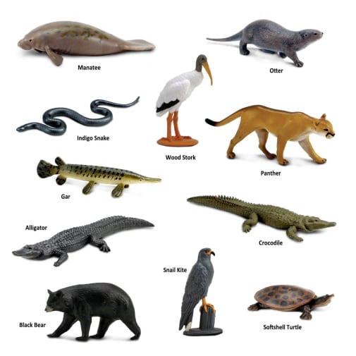 Safari Ltd Exotic Birds TOOB - 12 Hand-Painted Miniature Bird Figurines In A Tube (Parakeet, Toucan, Flamingo, Owl, Etc.) - Educational Toy For Kids 3+