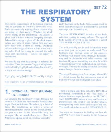 Respiratory System Microslide Lesson Set
