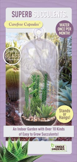 Superb Succulents Carefree Capsule