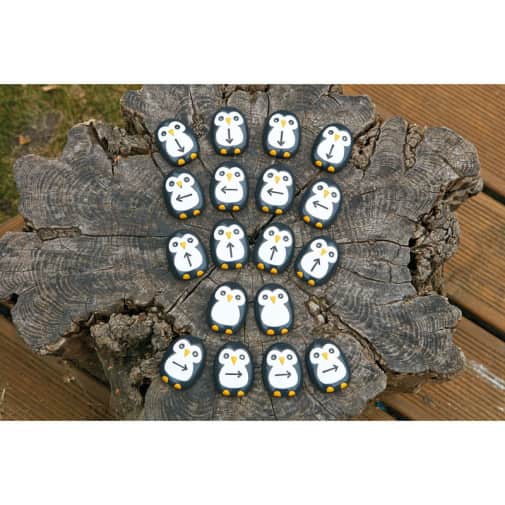 Pre-coding Penguin Stones