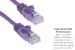 Cat6 Ethernet Patch Cable, Snagless, UTP, 1 ft, Purple
