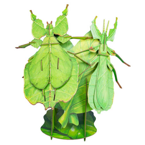Bring Nature Home - Leaf Inset 3D Puzzle (Small)