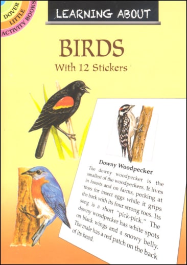 Learning About Birds