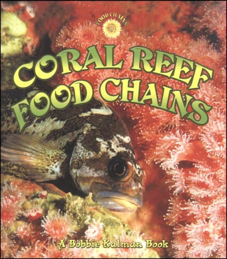 Coral Reef Food Chains