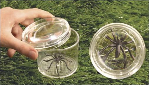 GeoSafari Bug Viewer 3"