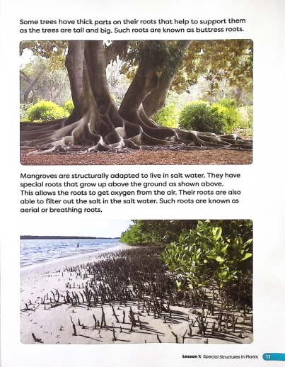 Primary Science Worktext Grade 4 Book B