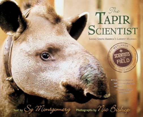 Tapir Scientist: Saving South America's Largest Mammal (Scientists in the Field)