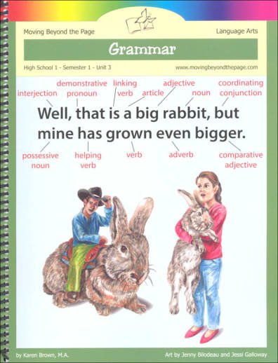 Grammar Part 1 Language Arts Unit (High School Semester 1)