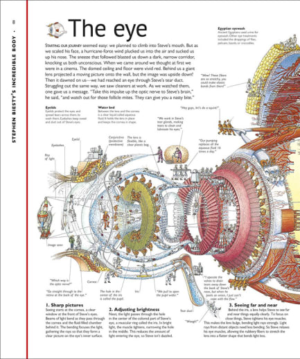 INCREDIBLE CROSS-SECTION COLLECTIONフルセット Stephen Biesty's Incredible Body Cross-Sections
