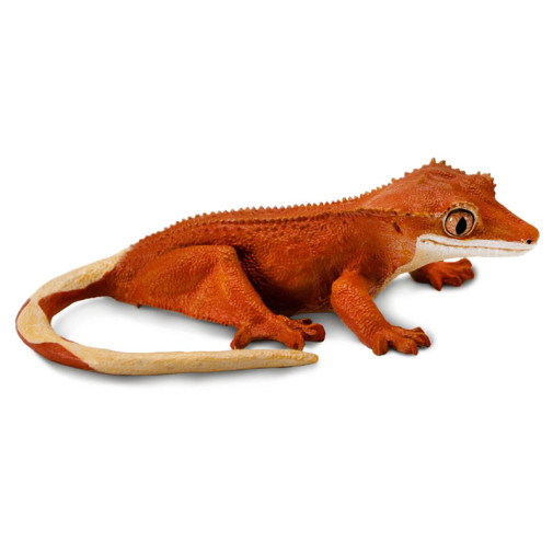 Crested Gecko (Incredible Creatures)