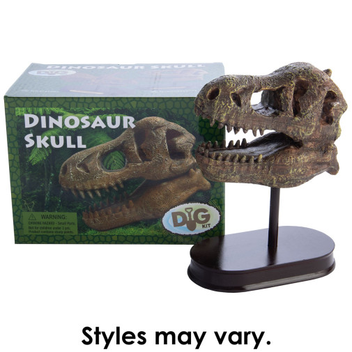 Dinosaur Skull Kit