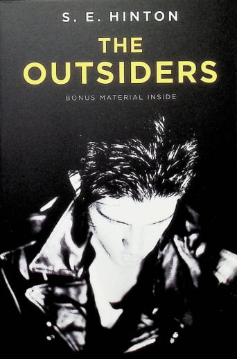 The Outsiders by S. E. Hinton