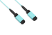 MTP® Cable, 12-Strand, OM4, LSZH, UPC, Type B, Female Key Up to Female Key Up, Aqua, 3 Meters