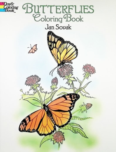 Butterflies Coloring Book