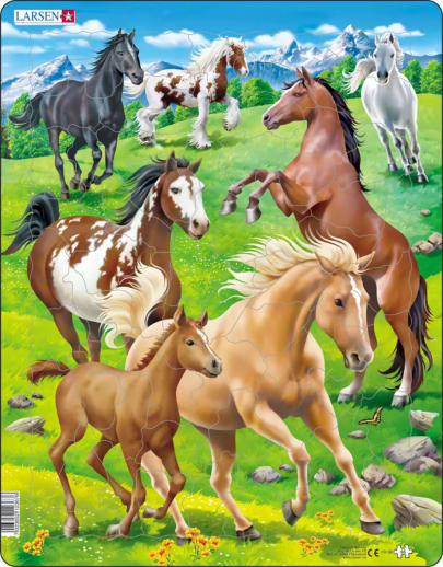 Horses Puzzle (65 pieces)