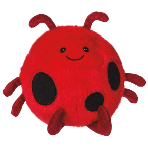 Rolly Lady Bug