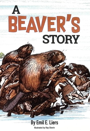Beaver's Story (Animal Stories)